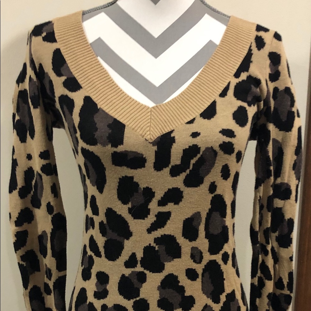 Cheetah print sweater